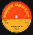 Hubert Lee - What Am I Living For (Count Shelly UK)